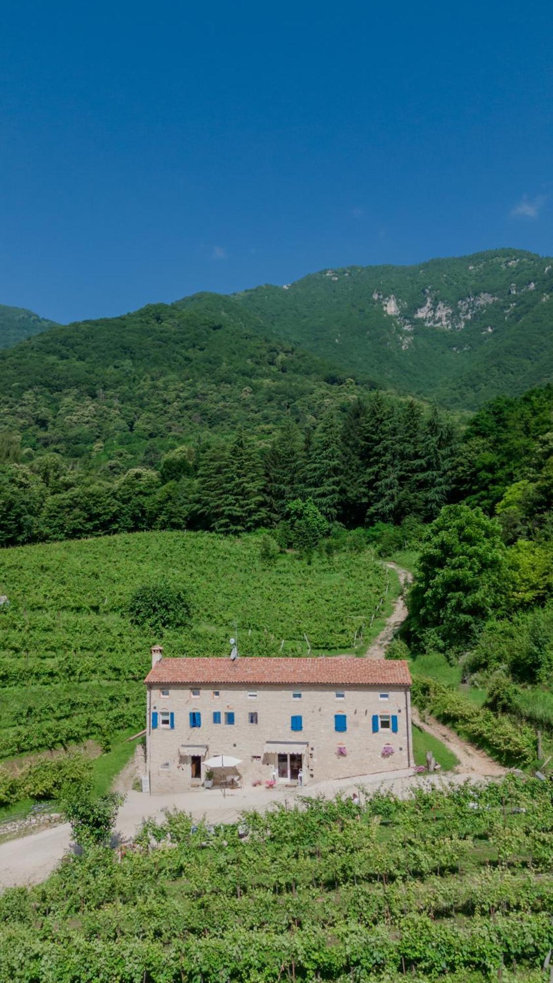 Agriturismo Podere Del Bosc Valmareno Екстер'єр фото